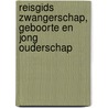 Reisgids Zwangerschap, geboorte en jong ouderschap door Jacobien Wagemaker