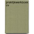 Praktijkwerkboek cv