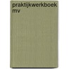 Praktijkwerkboek mv door Onbekend