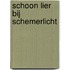 Schoon Lier bij Schemerlicht