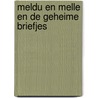 Meldu en Melle en de geheime briefjes door Miranda Remmerswaal