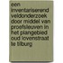Een inventariserend veldonderzoek door middel van proefsleuven in het plangebied Oud Lovenstraat te Tilburg