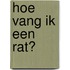 Hoe vang ik een rat?