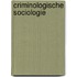 Criminologische sociologie