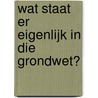 Wat staat er eigenlijk in die grondwet? by Haye van der Heyden