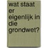 Wat staat er eigenlijk in die grondwet?