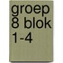 groep 8 blok 1-4