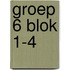 groep 6 blok 1-4