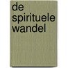 De spirituele wandel by Younes Alaoui