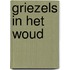 Griezels in het woud