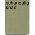 Schandalig knap