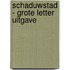 Schaduwstad - Grote Letter Uitgave