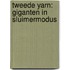 Tweede Yarn: Giganten in Sluimermodus