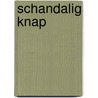 Schandalig knap by Jules Bennett