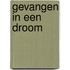 Gevangen in een droom