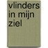 Vlinders in mijn ziel