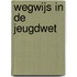 Wegwijs in de Jeugdwet