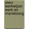 STECR werkwijzer Werk en Mantelzorg door Heidi Kanakis-van Lienden