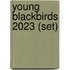 Young Blackbirds 2023 (set)