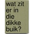 Wat zit er in die dikke buik?
