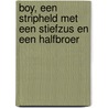 Boy, een stripheld met een stiefzus en een halfbroer door Rian Visser