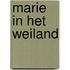 Marie in het weiland