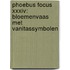Bloemenvaas met vanitassymbolen