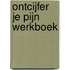 Ontcijfer je Pijn Werkboek