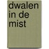 Dwalen in de mist