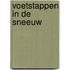 VOETSTAPPEN IN DE SNEEUW