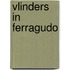 Vlinders in Ferragudo