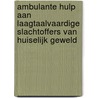 Ambulante hulp aan laagtaalvaardige slachtoffers van huiselijk geweld door Suzanne Andeweg-van Leeuwen