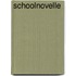 Schoolnovelle