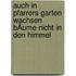AUCH IN PFARRERS GARTEN WACHSEN BÄUME NICHT IN DEN HIMMEL