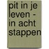 PIT IN JE LEVEN - IN ACHT STAPPEN