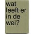 Wat leeft er in de wei?