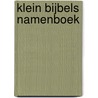KLEIN BIJBELS NAMENBOEK by Theo van Remundt