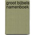 GROOT BIJBELS NAMENBOEK