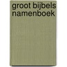 GROOT BIJBELS NAMENBOEK by Theo van Remundt