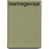 LAWINEGEVAAR door Anton Hermans