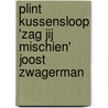 Plint Kussensloop 'Zag jij mischien' Joost Zwagerman by Joost Zwagerman