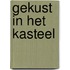 Gekust in het kasteel