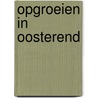 Opgroeien in Oosterend door Berth Boogaard-Dros