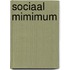 Sociaal Mimimum