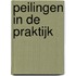 Peilingen in de Praktijk