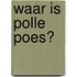 Waar is Polle Poes?