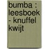 Bumba : kartonboek met flapjes - Knuffel kwijt