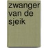 Zwanger van de sjeik