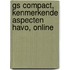 GS Compact, Kenmerkende aspecten havo, online