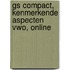 GS Compact, Kenmerkende aspecten vwo, online
